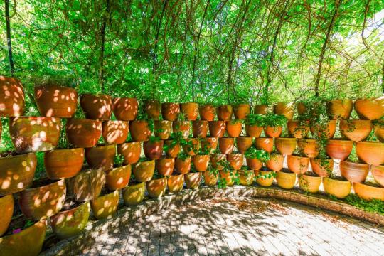 Jardin Botanique